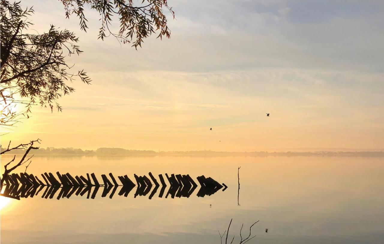 Stunning Home In Lembruch-Duemmer See With Sauna 外观 照片